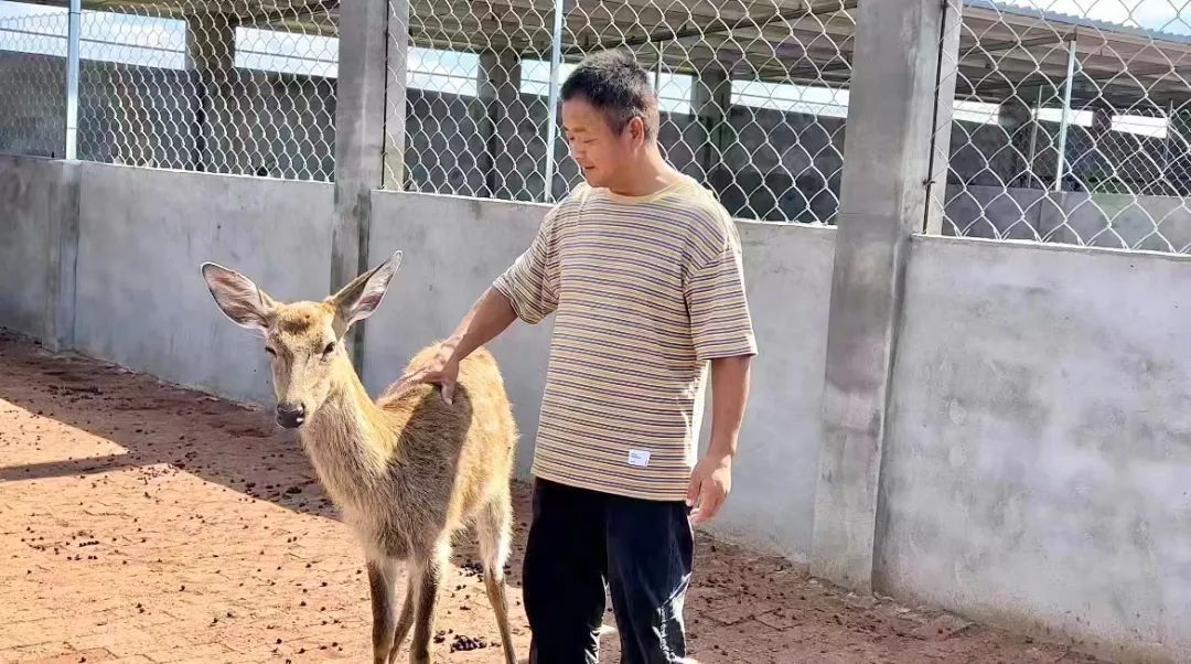 开心川麻非法连接